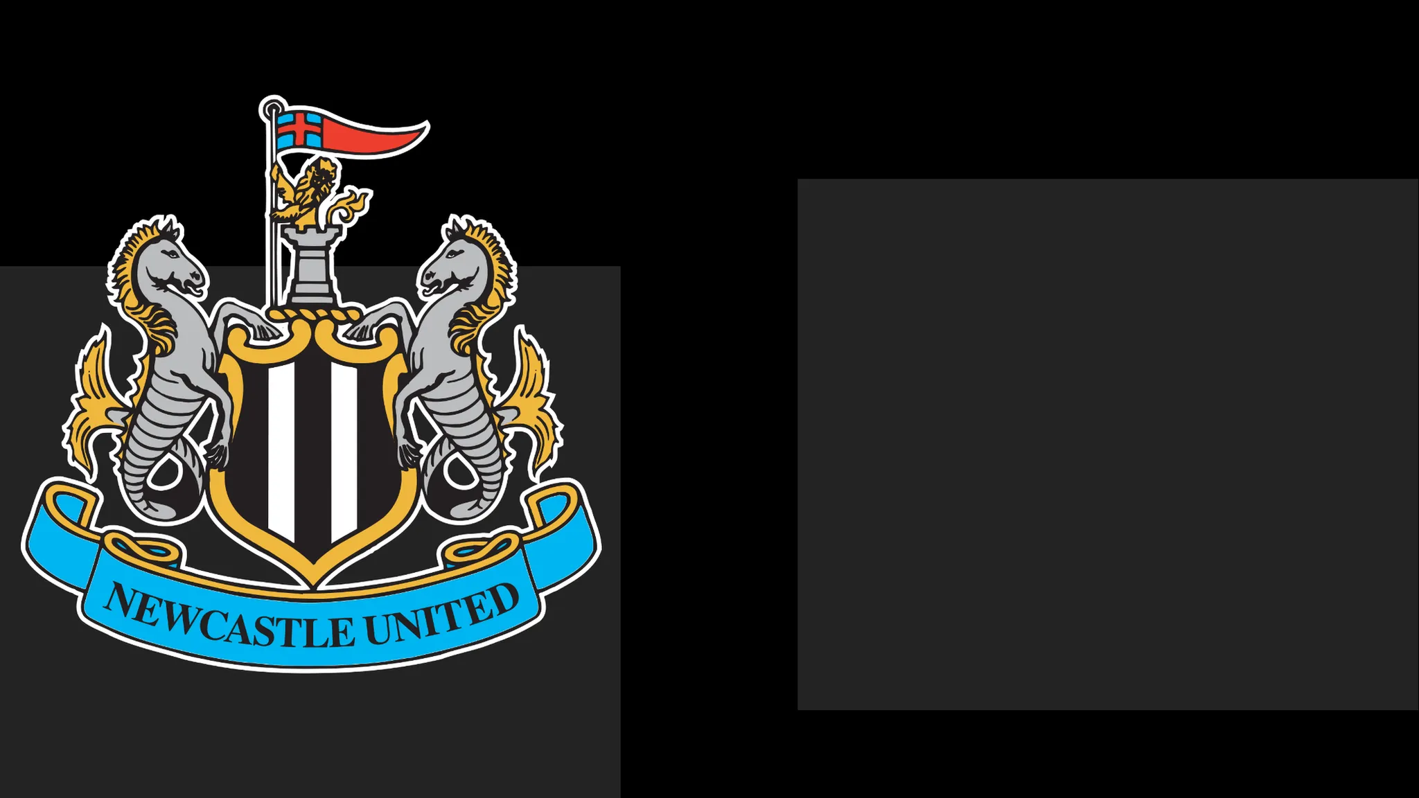 NUFC Issue Statement of Regret to Fans Over Ticket Issue