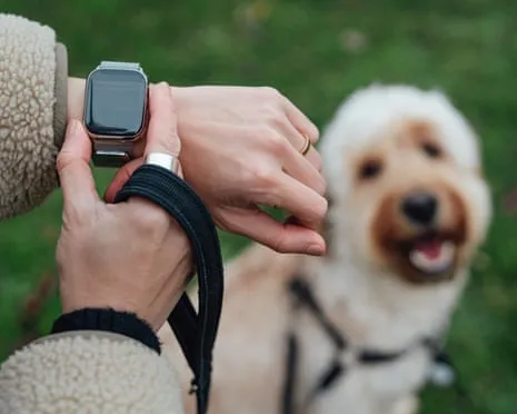 The Reality Concerning Fitness Trackers? Daily Existence Is Better Devoid of a Bossy Gadget on Your Wrist